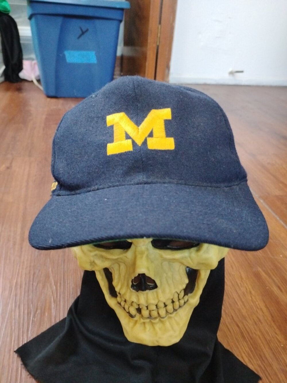 Vintage American Needle Michigan Wolverines Blockhead Hat Cap Wool